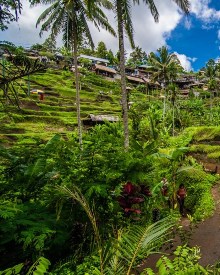 Guida di viaggio - Bali - immagine 4