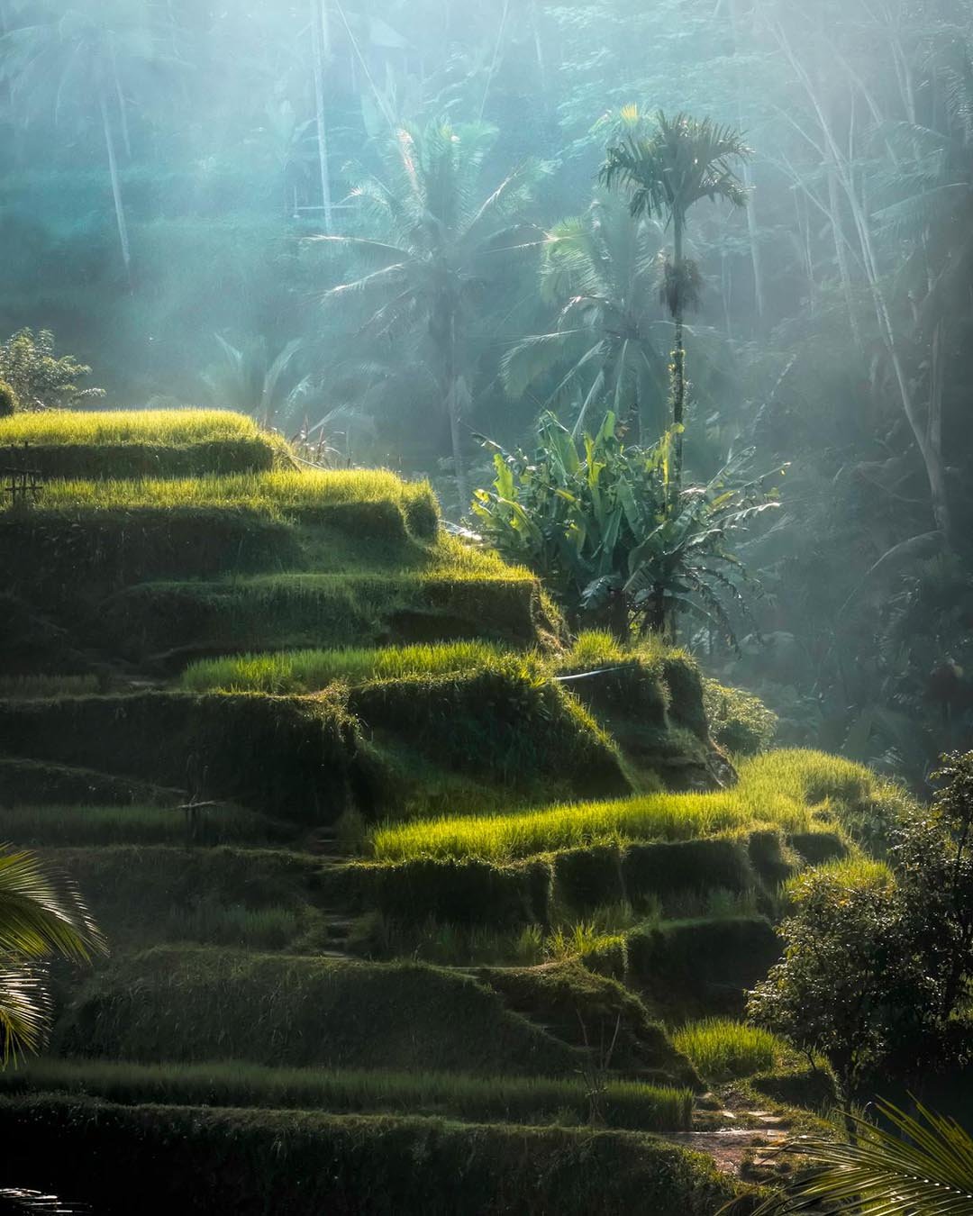 foto bali (3)